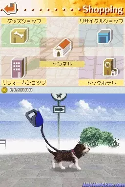 Image n° 3 - screenshots : Nintendogs - Miniature Dachshund & Friends (v01)